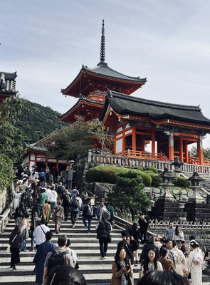 SPOGOMI-Weltmeisterschaft in Japan – Aufnahme 25
